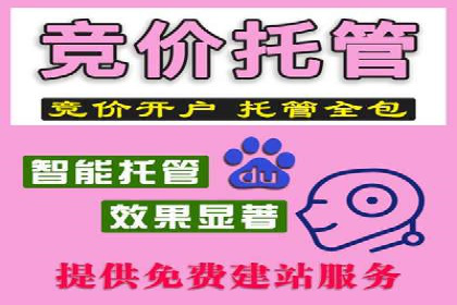 某电商企业选择SEM代运营托管公司的背后故事